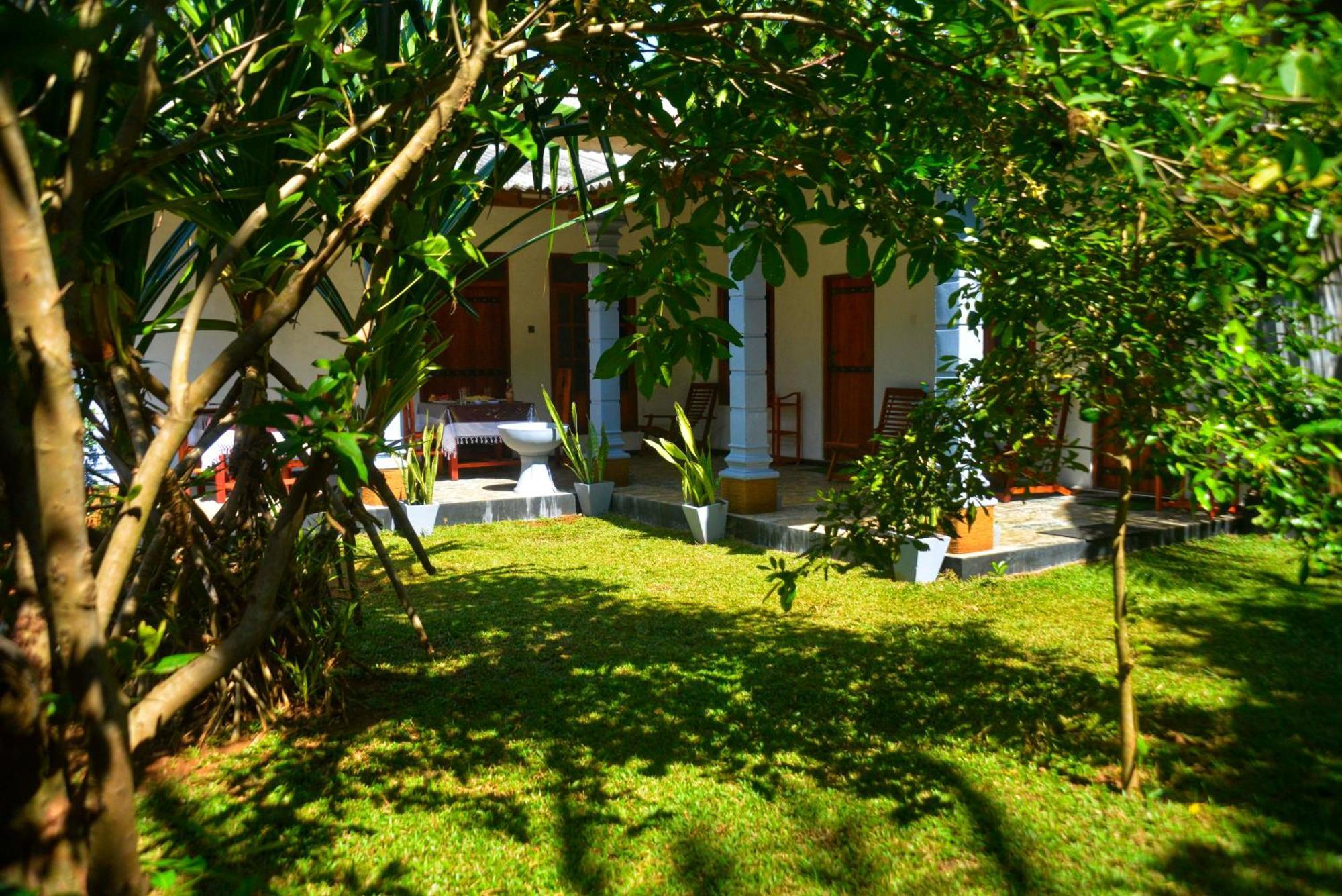 Tropical Garden Homestay Pidurangala Σιγκιρίγια Εξωτερικό φωτογραφία