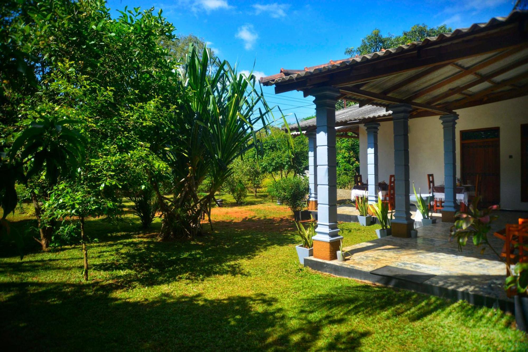 Tropical Garden Homestay Pidurangala Σιγκιρίγια Εξωτερικό φωτογραφία